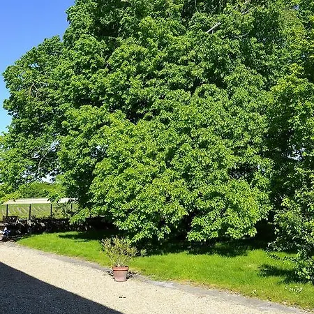 Le Vieux Noyer Bed & Breakfast *