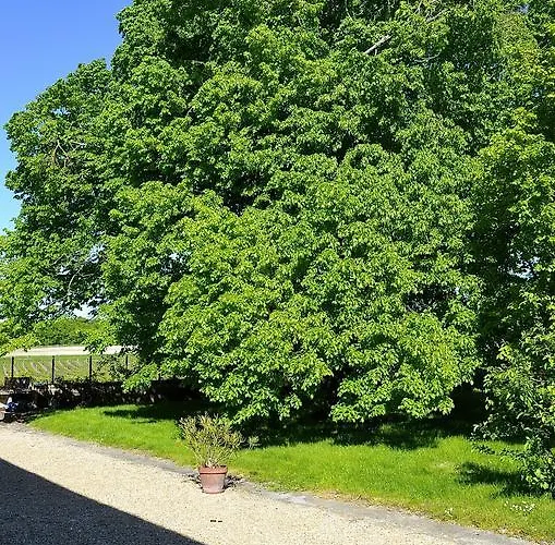 Le Vieux Noyer Bed & Breakfast 3*